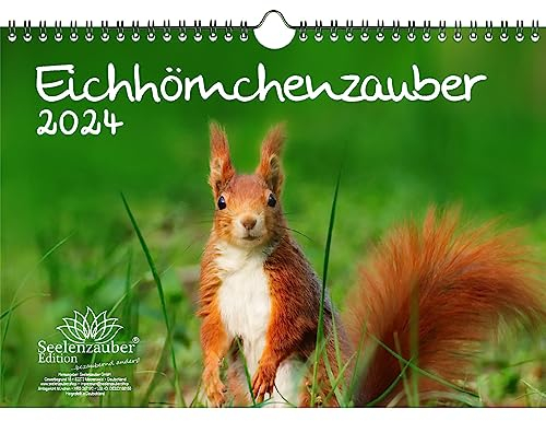 Eichhörnchenzauber DIN A4 Kalender für 2024 Eichhörnchen - Seelenzauber