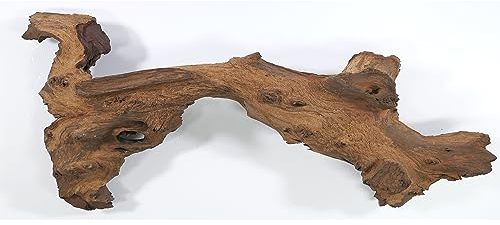 Mopani Wurzel Größe XL // Echtholzwurzel Aquariumdekoration Garnelen Zierfische Hard Scape 40cm - 50cm (Mangrove Savanna) Aquascaping