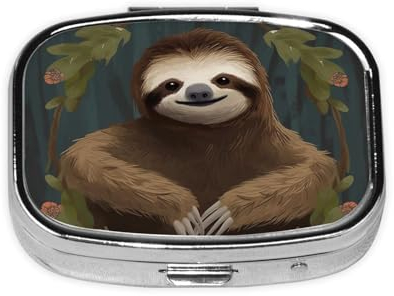 Pillendose mit Faultier-Motiv, tragbar, Metall, 2 Fächer, kleine Tablettenbox für Geldbörse oder Tasche, Pillendose, Medizin, Vitamin-Organizer, einzigartiges Geschenk