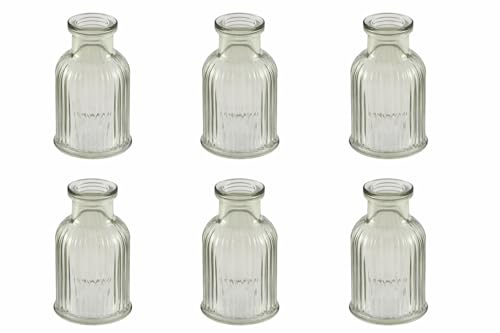 Mini Vasen 6er Set Glas Salbei Grün – Blumenväschen mit Streifen-Relief – Tischdeko Hochzeit, Taufe, Kommunion, Konfirmation, Geburtstag – Kleine Glasvasen Vintage/Boho Deko
