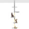 Rex & Roxy Cat Tree 245cm | Cat Scratching Post for Indoor Cats | Floor to Ceiling Cat Tower | 5-Tier Cat Tree | Cat Climbing Frame | Easy To Install Cat Tree Tower | Grey