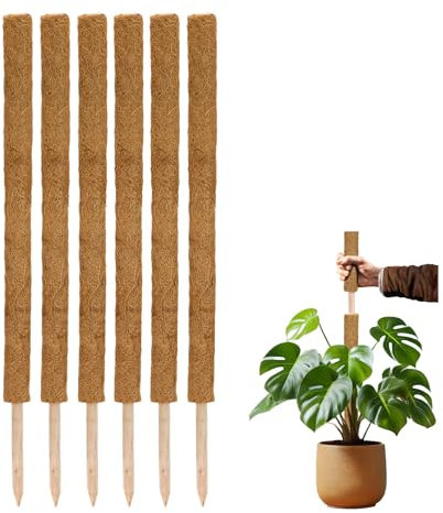 La Cordeline Lot 6 Tuteurs Plante Grimpante 90cm, Support Coco Naturel, Extension tuteur pour Monstera, Jardin, Plante Maison, Marron