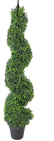 Leaf Design UK Buxus Buchsbaum-Spiralbäume