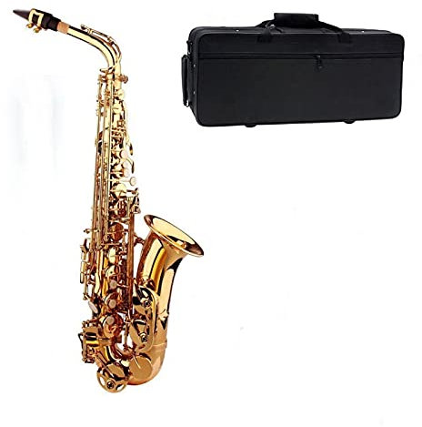 Kit para Principiantes Saxo Alto Saxofón EB E Flat Sax Sax Latón Patrón Tallado En Superficie Plástico Boquilla Exquisito con Guantes Paño De Limpieza (Color : Gold)