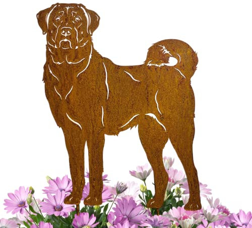 Terma Stahldesign Edelrost Hund Verschiedene Rassen, Handmade Germany, tolle gartendeko aus Rost-Metall, deko rostoptik, Rostfiguren Tiere, rostfiguren Garten, Rostdeko (Kangal-Hirtenhund)