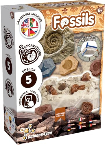 Science4you Kit per Lo Scavo Dei Fossili per Bambini – Imparate a Conoscere e la Paleontologia con questo Kit di Scavo, Scoprite Gli Incredibili Fossili, Regalo Paleontologico per Bambini 6 7 8+ Anni