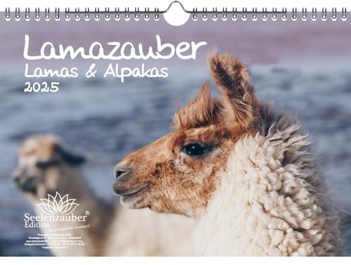 Lamazauber DIN A4 Kalender für 2025 Lama Alpaka - Seelenzauber