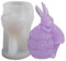 3D Kanincheneier Silikonform für Gips, 3D Osterhaseneier Form, tolles Geschenk, Ostereier Form Hase, Gipsform, Duftkerze, Schokolade, Kuchen,