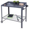 Spetebo Tavolo per piante in metallo su ruote, 90 x 55 cm, tavolo da giardino con ripiano a griglia, tavolo da lavoro da giardino, piano di lavoro per esterni, con ripiano arrotolabile, 507425