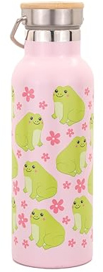 Sass & Belle Frog Water Bottle – Insulated Stainless Steel Bottle for Kids or Adults, Reusable Metal Flask with Cute Frog Design, Leakproof Eco Gift Idea