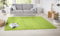 Hanse Home Nasty Teppich – Wohnzimmerteppich Flauschiger Kurzflor Einfarbig Unifarben für Esszimmer, Wohnzimmer, Kinderzimmer, Flur, Schlafzimmer, Küche – Uni Grün, 200x300cm