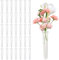 36 Stück Blumenröhrchen, Reagenzgläser Für Blumen 11×2.4cm, Transparent Blumenröhrchen Mit Deckel, Wiederverwendbare Orchideenröhrchen, Blumenröhrchen Kunststoff, Wasserröhrchen Für Blumenarrangements