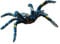 Bullyland 68459 - Spielfigur Blaue Ornamentvogelspinne, ca. 9,8 cm große Tierfigur, detailgetreu, PVC-frei, ideal als kleines Geschenk für Kinder ab 3 Jahren