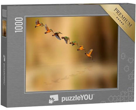 puzzleYOU: Puzzle 1000 Teile „Tauchender Eisvogel“ – aus der Puzzle-Kollektion Vögel, Eisvogel