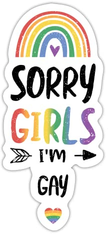 DesignsByJnk5 Sticker Unisex Pride | Sorry Girls I'm Gay Aufkleber LGBTQ Spruch | Queer lustige Sprüche Autoaufkleber Geschenkidee Pride