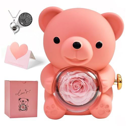Ewige Rosen Bär Geschenkbox,Ewige Rose mit Herz Halskette,Rosenbox Konservierter Echte Rose Box mit Versteckte Schmuckkästchen für Mama Freundin Valentinstag Muttertag Geburtstagsgeschenk (Rosa)