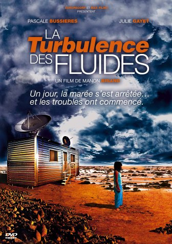 La Turbulence des fluides