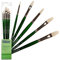 Elements 5-Piece Oil Paint Brush Set | Quality Hog Bristles & Long Handle | Includes Round, Pointed & Filbert Shape Brushes - Ideal for Beginners, Students & Professional Artists