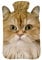 Wärmflasche mit Pullover Bezug 2 Liter Bettflasche mit schönen Fleece-Druck Bezug Gummi Wärmflasche mit Deckel Weiß Katze mit Ohren [092]