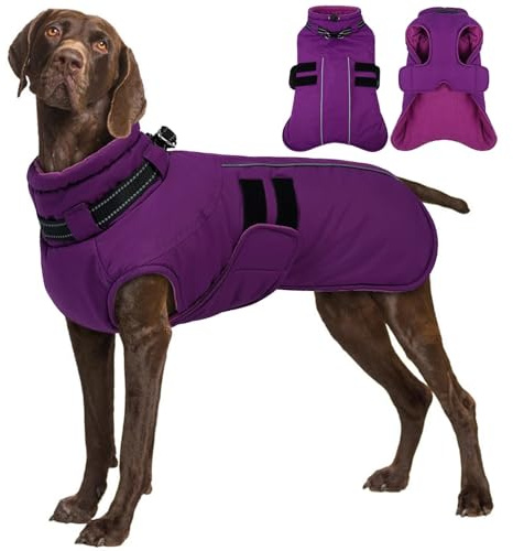 IECOii Winterjacken & Wintermäntel Für Hunde,Warme Hundejacke Winter,Wasserdichter Hundemantel,Verstellbarer Hundemantel Winter,Reflektierende Hundejacke Wasserdicht,Gürtel WinterHundemantel,Lila,4XL