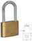 WOLFPACK LINEA PROFESIONAL - Candado Laton Arco Largo 60 mm.