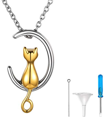 Richsteel Collier Femme Acier Inoxyadable Argent et or - Pendentif Cendres de Chat - Bijoux Kitty Cheveux pour Animaux de Compagnie (Entonnoir Kit Inclus)