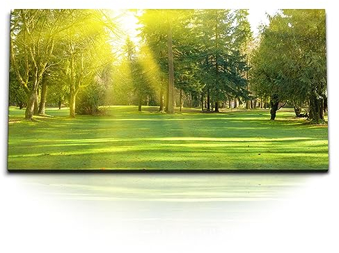 Kunstdruck Bilder 120x60cm Grüne Wiese Park Sonnenschein Sonnen Bäume