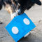 Procyon Dog Agility Schnüffel-Cube