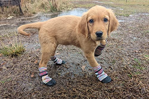 Allwetter-Neopren-Hundeschuhe mit reflektierenden Riemen, in 5 Größen! (Mehrfarbig, Small)