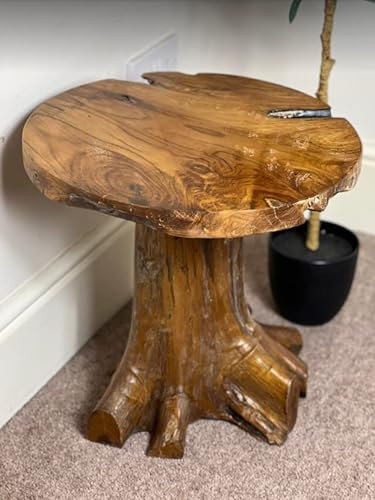 Rustic Side Table Solid Teak Root Wood Recycled Mushroom Plant Lamp Stand Industrial Style Tall Coffee Sofa End Farmhouse Furniture Retro Display Room