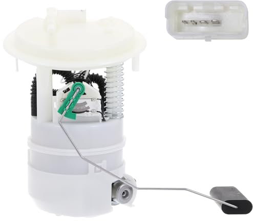 DELPHI FE10179-12B1 Bomba de gasolina