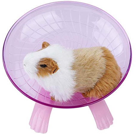 Hamsterrad aus Kunststoff, geräuschlos kleine Haustiere Laufrad Scheibe für syrische Hamster, Mäuse, Ratten, Rennmäuse, Chinchilla, Meerschweinchen, Eichhörnchen
