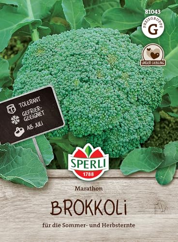 81043 Sperli Premium Brokkoli Samen Marathon | Aromatisch Zart | Ertragreich | Große Köpfe | Brokkoli Saatgut