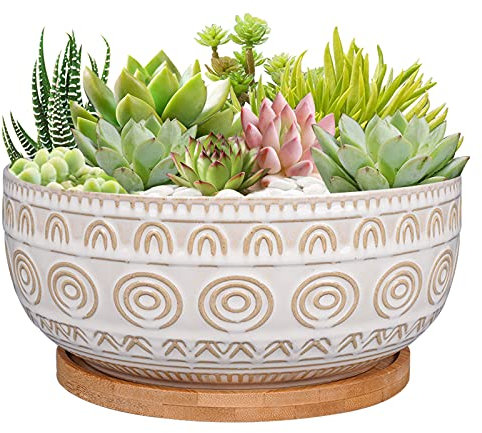 Eightpot Sukkulenten-Übertopf aus Keramik, 20,3 cm, mit Ablaufloch und Untersetzer, rund, flach, für Zimmerpflanzen, weiß