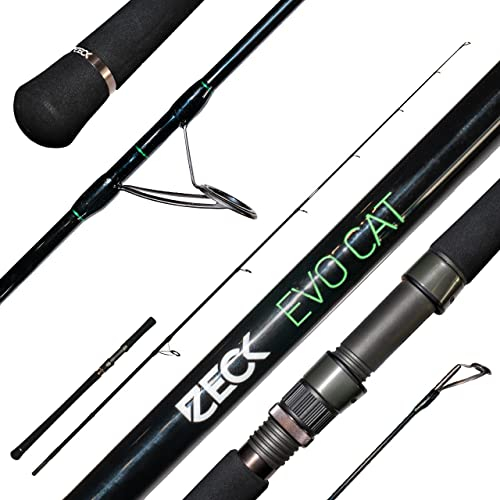 ZECK - Wallerrute - Evo Cat 243 | 120g - Spinnfischen