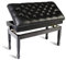 GZSLKSCD Klavierbank mit Notenfach 10cm höhenverstellbar Pianobank Keyboardbank (Schwarz)