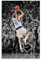 Zbwqlte Dirk Nowitzki Sport-Stern-Poster, Wandkunst, Gemälde, Leinwand, Wohnzimmer, Drucke, Schlafzimmer, Dekoration, Kunstwerke, 20 x 30 cm