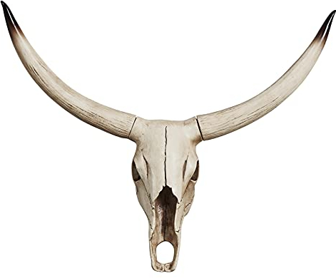 Notakia Langes Horn Kuh Totenkopf Wandbehang Langhorn Steer Southwest Bull Skulptur Harz Dekoration