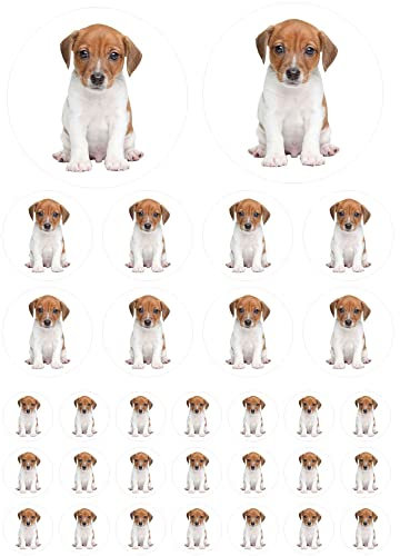Kleberio Sticker Set Jack Russel Terrier Aufkleber für Kinder Motorrad Autoaufkleber Wohnmobil Mülltonnenaufkleber Wohnwagen 31 Aufkleber