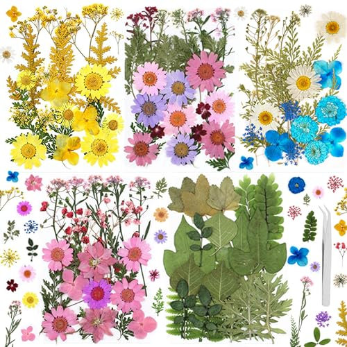 Gepresste Blumen, Natürliche Getrocknete Blüten, Mehrfarbige Trockenblumen Zum Basteln für DIY Harz Schmuck Nagel Handwerk Sammelalbum Dekorationen (148, small)