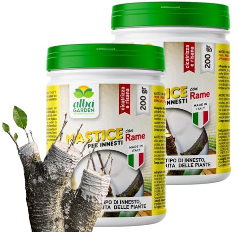 Albagarden - Mastice Per Innesti E Potature ++ Con Rame ++ Antibatterico Pasta Cicatrizzante Curativa Per Ferite Piante Alberi Arbusti Kit Bonsai X 200 Gr (2 Pezzi)