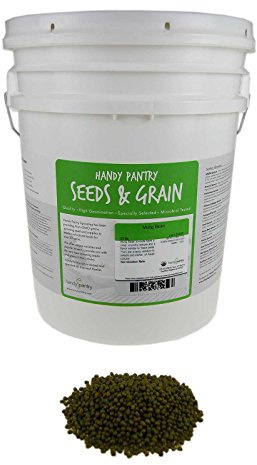 Mung Bean Sprouting Seed: 35 Lb - Organic, Non-GMO - Handy Pantry Brand - Dried Mung Beans for Sprouts, Garden Planting, Chinese & Asian Cooking, Soup & More
