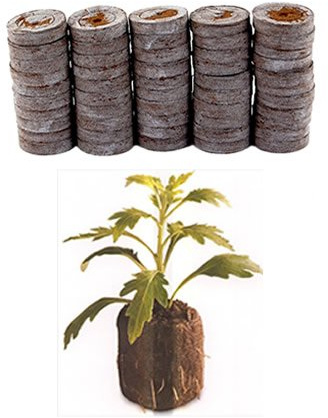 Lot de 50 pastilles de tourbe Jiffy 7 - Pour semis en intérieur - Facile à transplanter dans le jardin - 36 mm