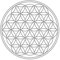 BLUME DES LEBENS - IN - Geometrie - Wandtattoo Wandaufkleber Sticker Aufkleber (20 (B) x 20 (H) cm, Grau)