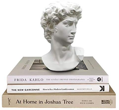 Greek Statue of David - Head Bust for Mythology and Roman Home Decor