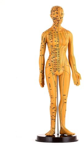 1pc Menschlichen Körper Modell Medizin Akupunktur Punkt Karte Bronze Menschlichen Körper Zwölf Meridian Haut Menschlichen Akupunktur Punkt Modell
