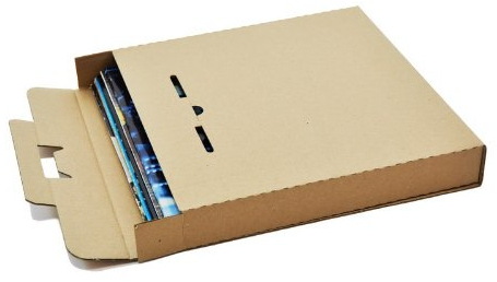 LP Schallplatten Versandkartons für 6-10 LPs Protected (50 Stück)