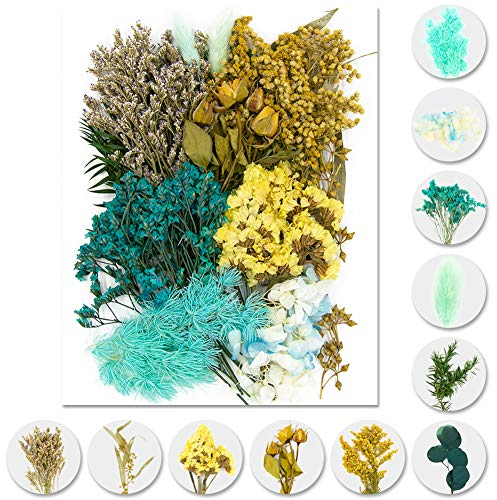 iDattel Natürliche Getrocknete Blumen,Blumen Natürliche Gemischte,DIY Natürliche Getrocknet Blumen Set für Kunst Basteln DIY Harz Scrapbooking Handwerk Karten Machen（blau）