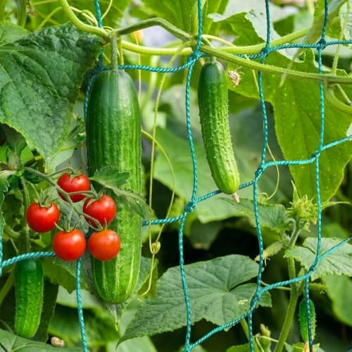 HOECMRHP Trellis Netting, Heavy-Duty Garden Grow Netting for Climbing Plants, Outdoor Indoor Net for Cucumber, Tomatoes, Beans, Clematis, Fruits & Vegetables, Climbing Vining Plants (32.8' x 6.6'Ft)