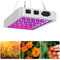 Kavolet Pflanzenlampe Led Vollspektrum LED Wachstumslampen 312 LEDs LED Panel Grow Light für Hydroponisches Gewächshaus Zimmerpflanze